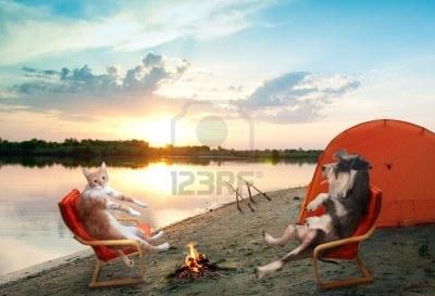 Diverse - 15714547-funny-cat-and-dog-camping-and-fishing.jpg